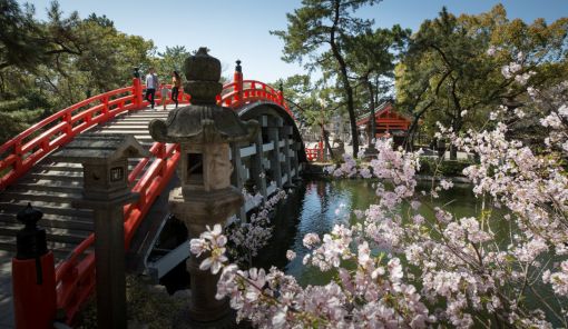 NGÀY 5 | KYOTO (OSAKA), JAPAN 